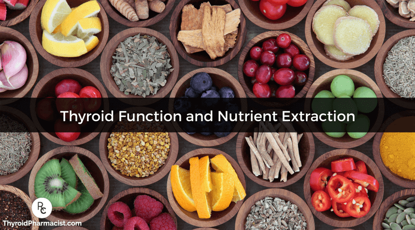 Thyroid Function and Nutrient Extraction