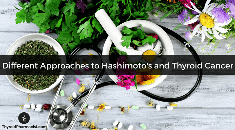 Different Approaches to Hashimoto's and Thyroid Cancer