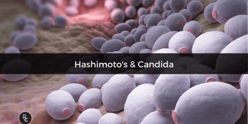 Hashimoto's & Candida