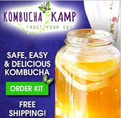 kombucha