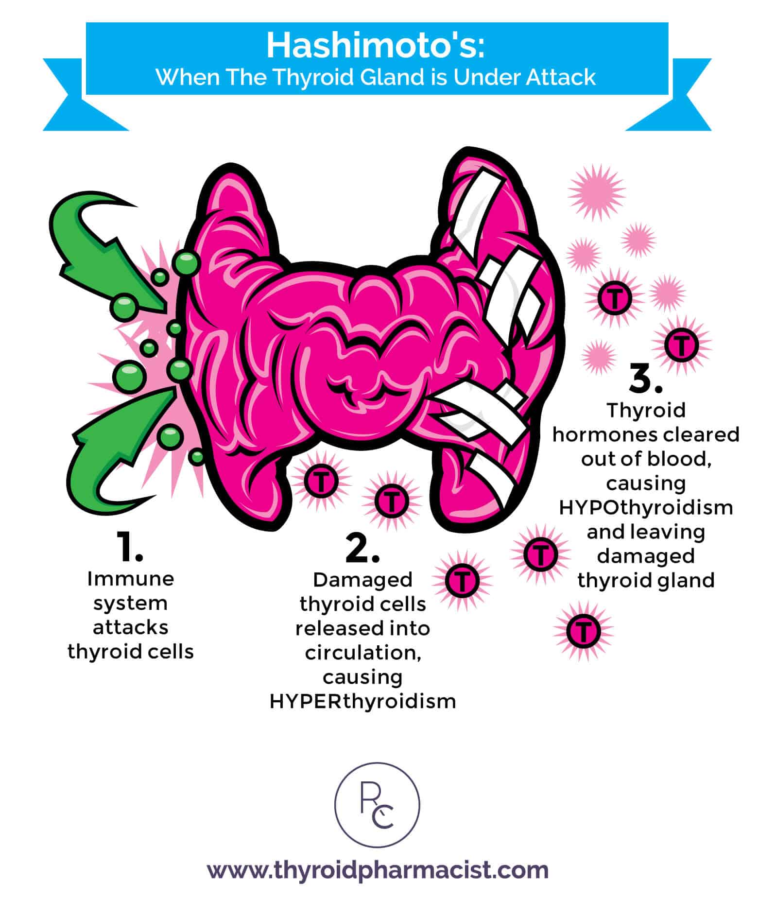 Is It Hyperthyroidism or Hypothyroidism? - Dr. Izabella Wentz