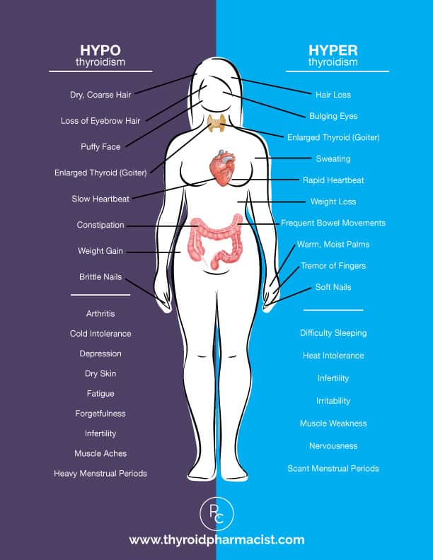 Difference Between Hyperthyroidism And Hypothyroidism Chart