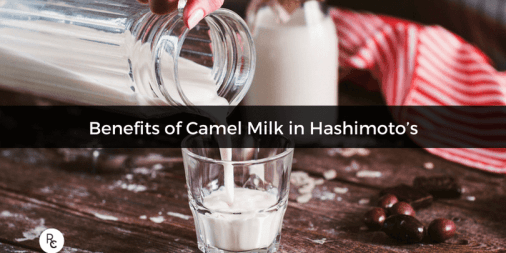 Discover the benefits of camel milk and how it can help Hashimoto's and hypothyroidism.