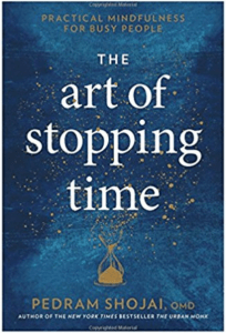 The Art o fStopping Time