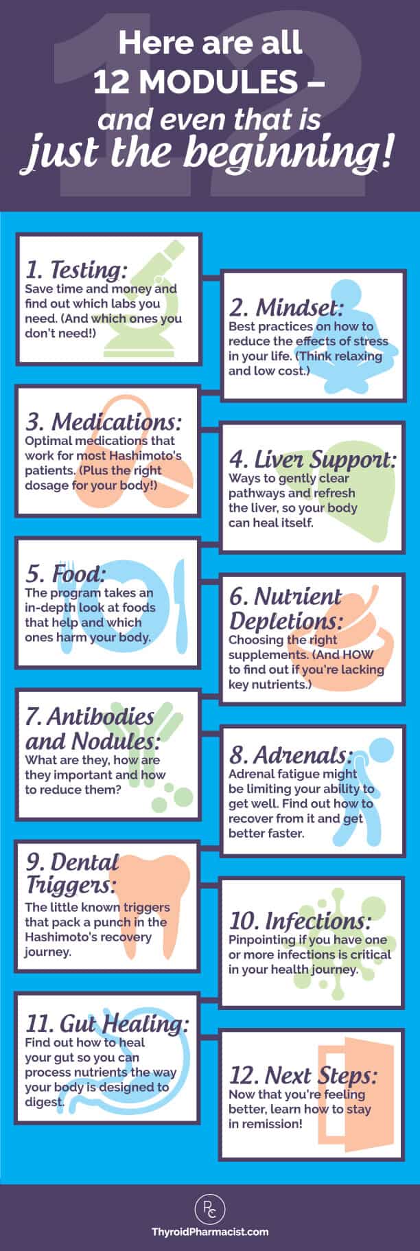 12 Module Infographic