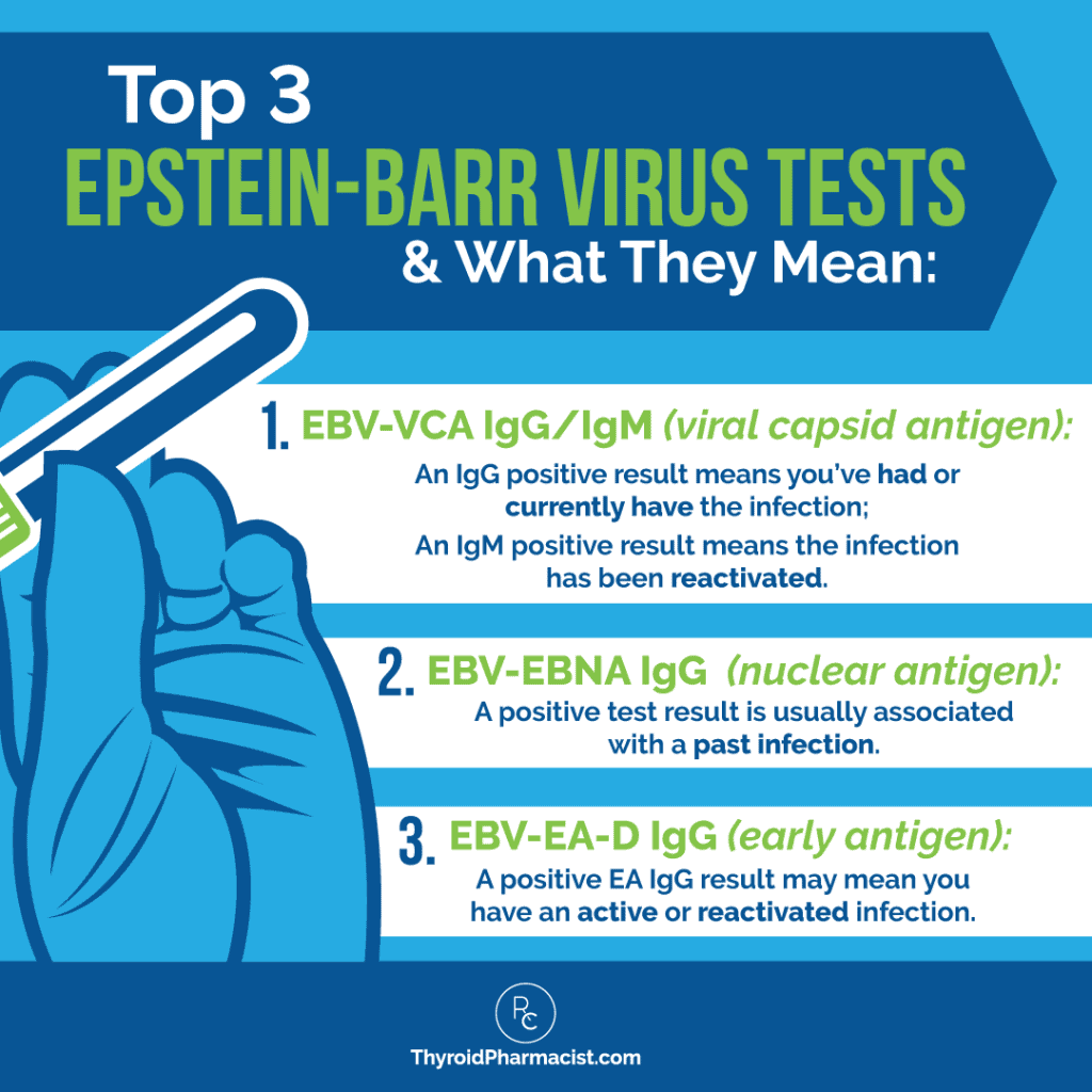 Epstein-Barr Virus During Pregnancy