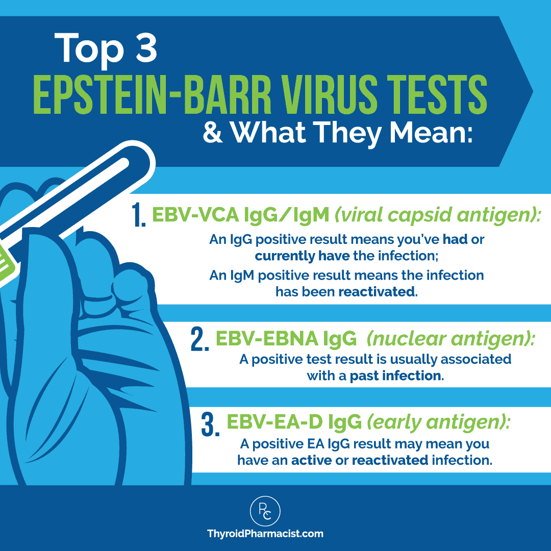 epstein-barr-virus-and-hashimoto-s-dr-izabella-wentz