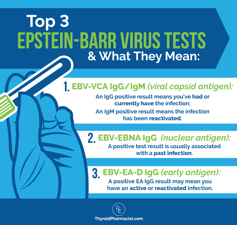 EpsteinBarr Virus and Hashimoto’s Dr. Izabella Wentz