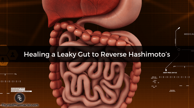How Healing a Leaky Gut Can Help Hashimoto’s