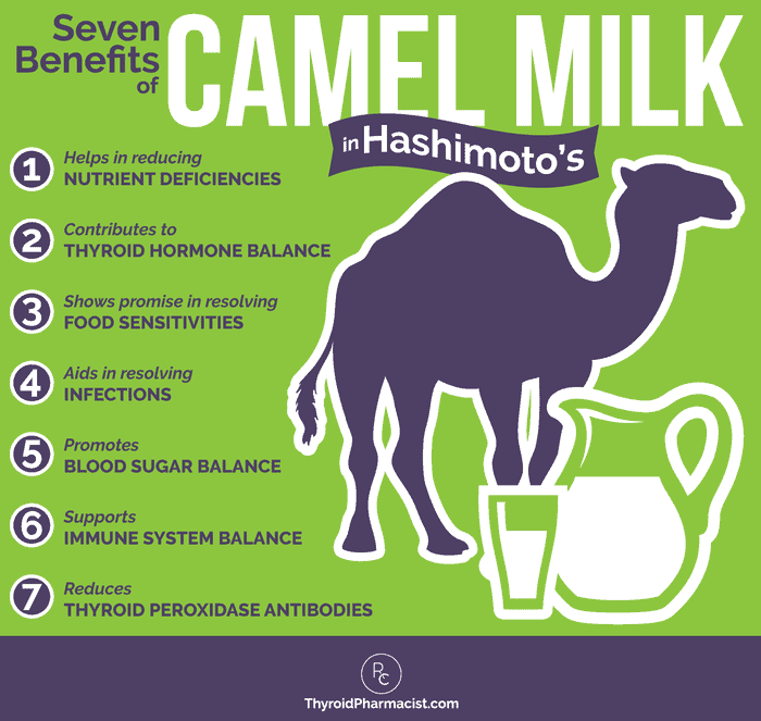 Can Camel Milk Help Hashimoto’s? - Dr. Izabella Wentz