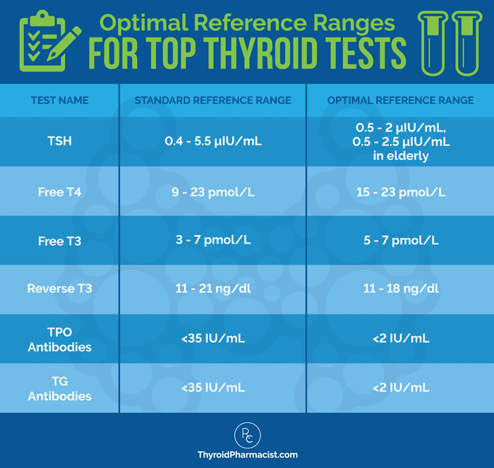 Top 10 Thyroid Tests - Dr. Izabella Wentz