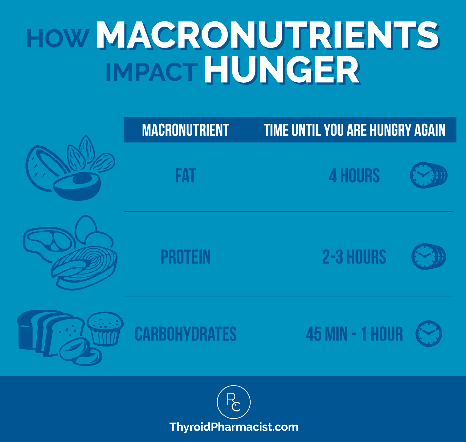 How Macronutrients Impact Hunger Infographic