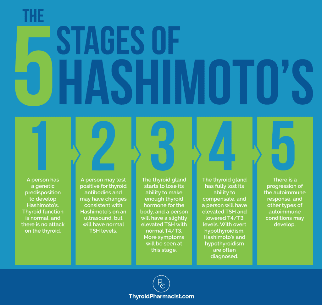 The 5 Stages of Hashimoto's Infographic