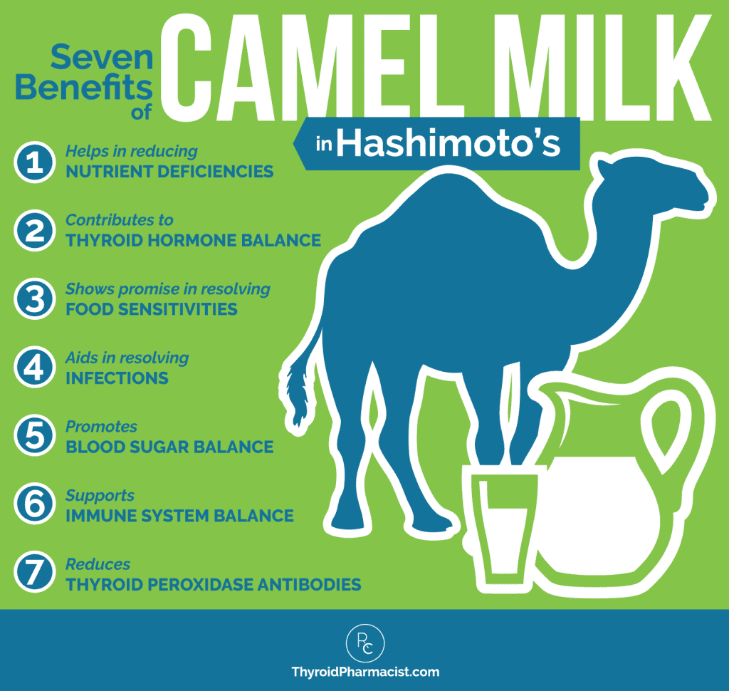 7 Benefits of Camel Milk Infographic