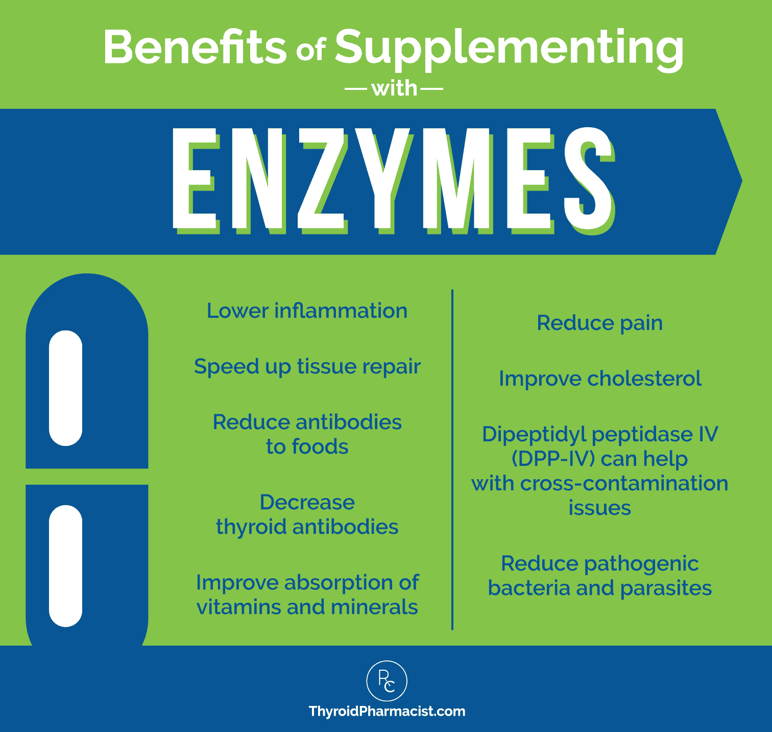 Benefits of Supplementing with Enzymes Infographic