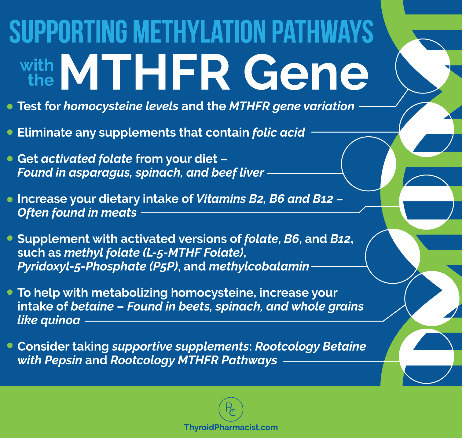 MTHFR, Hashimoto's, And Nutrients - Dr. Izabella Wentz