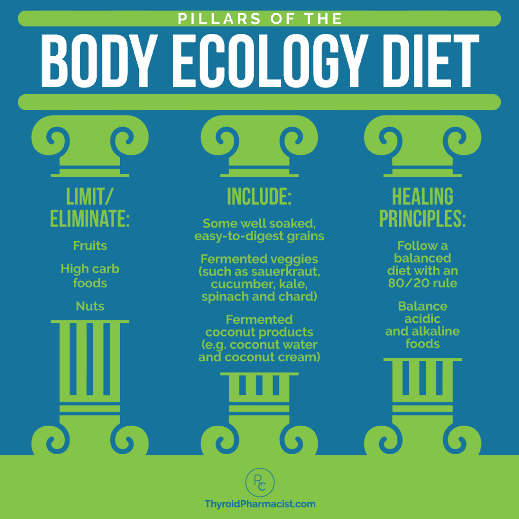 Body Ecology Diet Infographic