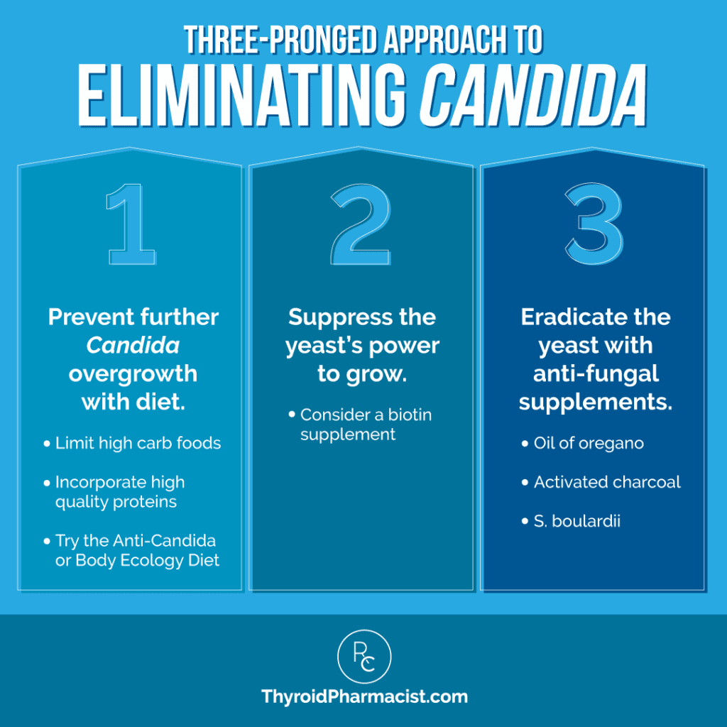 Three Pronged Approach to Eliminating Candida Infographic