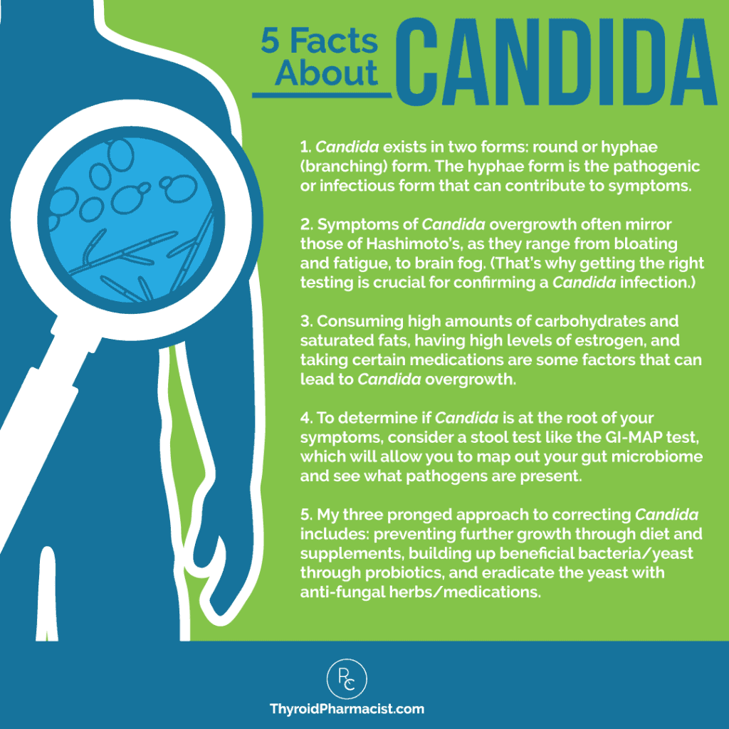 5 Facts About Candida Infographic