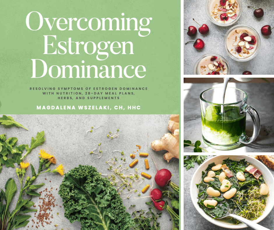 Overcoming Estrogen Dominance Book