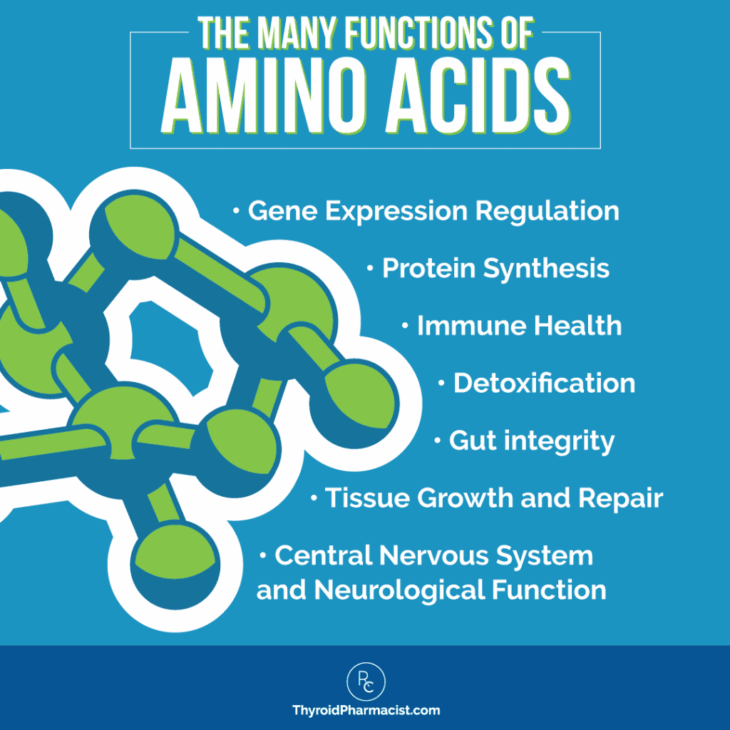 The Benefits of Amino Acids for Hashimoto s Dr. Izabella Wentz