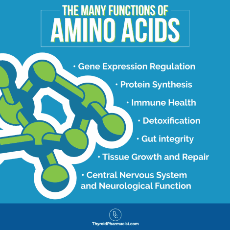 The Benefits of Amino Acids for Hashimoto’s - Dr. Izabella Wentz, PharmD