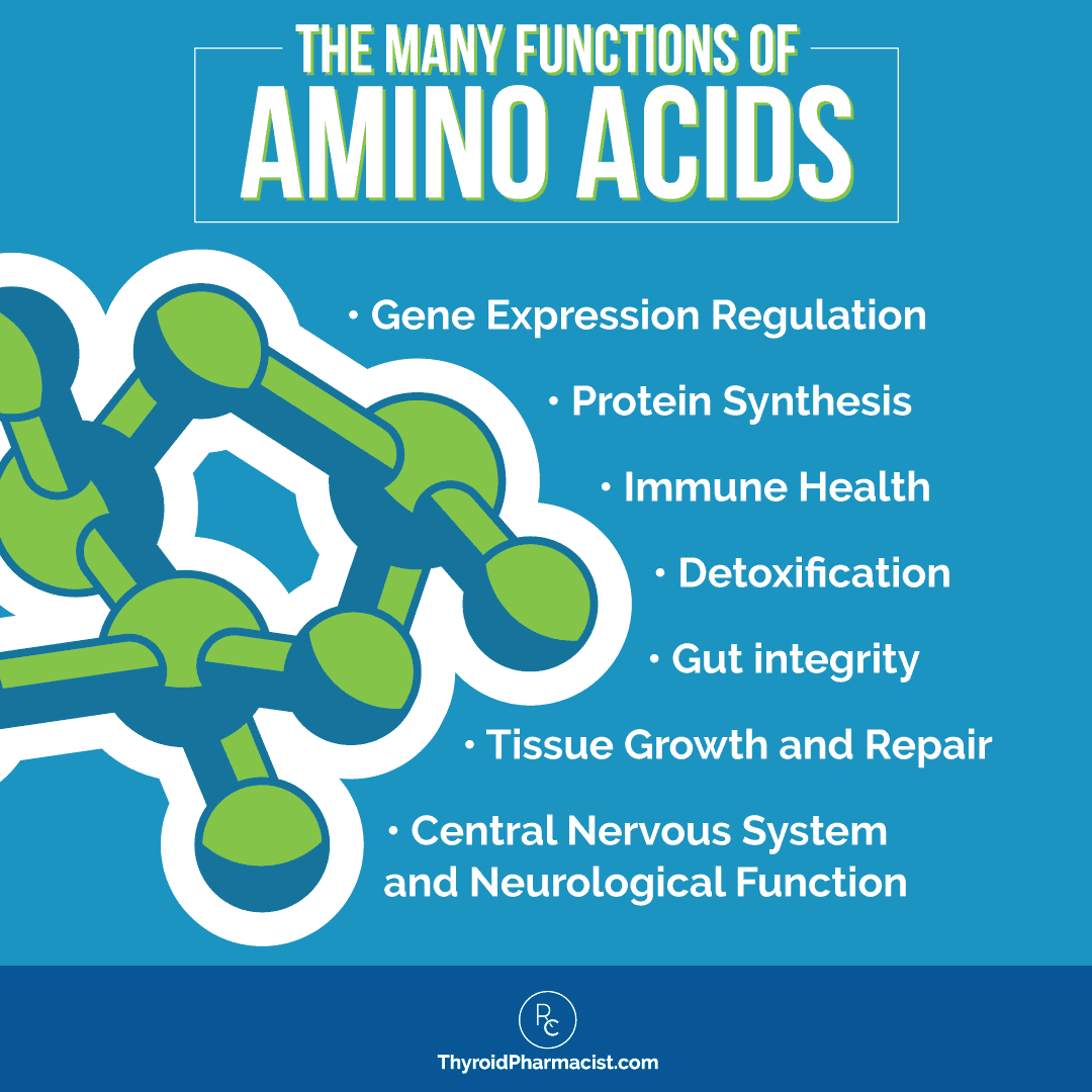 The Benefits of Amino Acids for Hashimoto’s