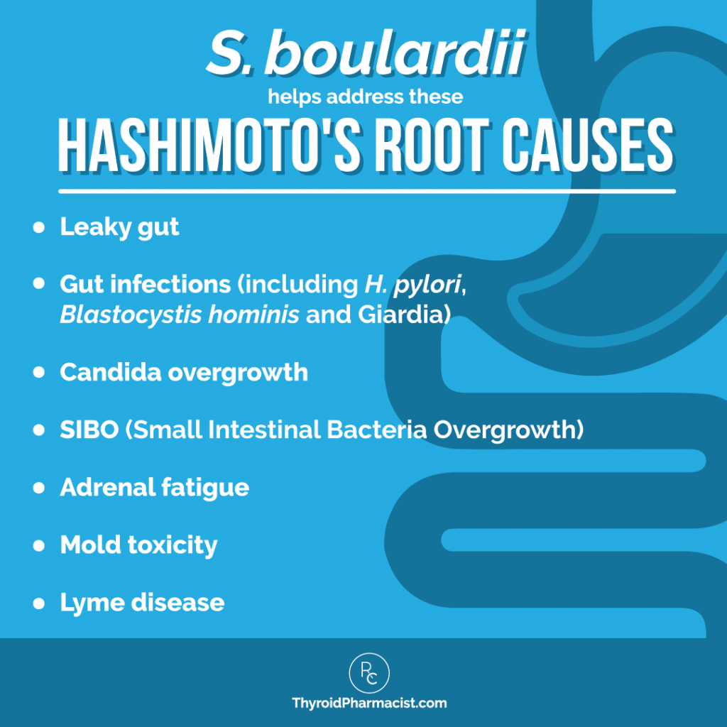 S. boulardii & Hashimoto's Root Causes Infographic