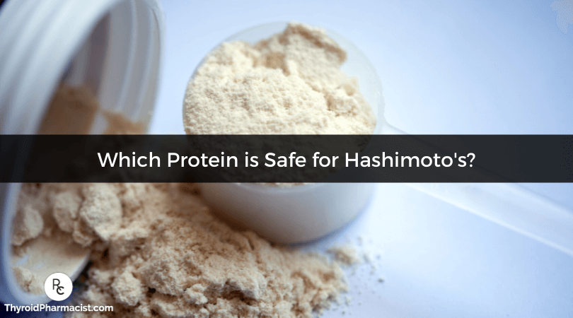 Scoop of safe protein powder