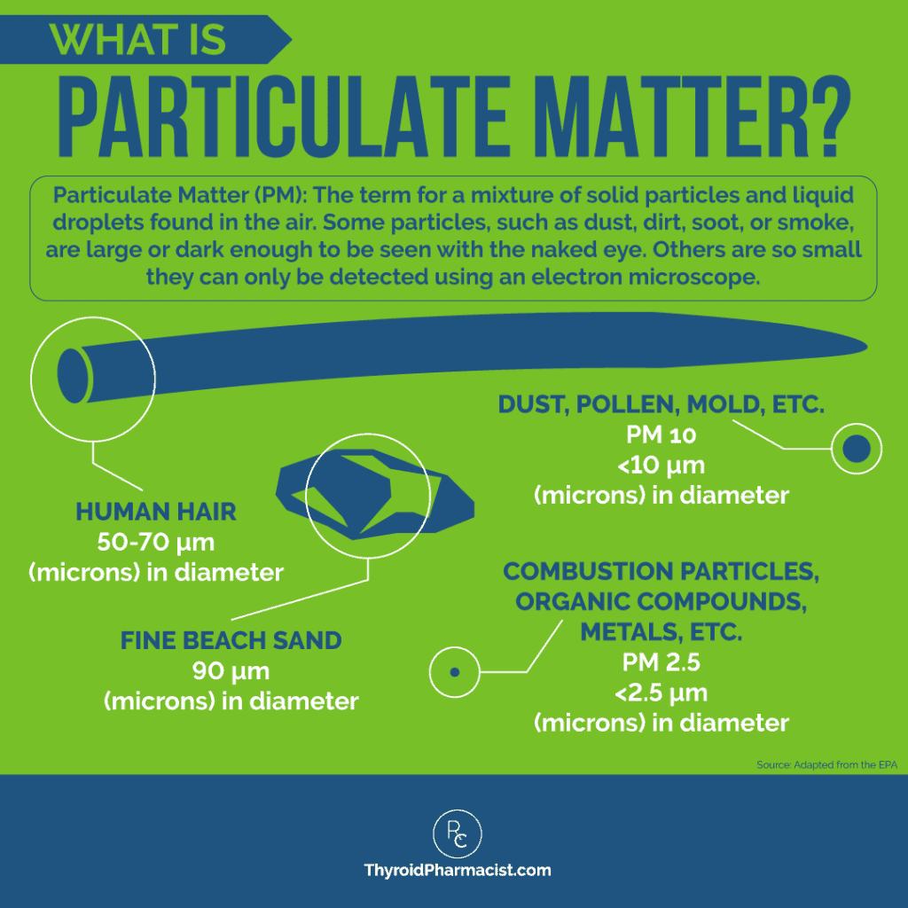 What is Particulate Matter Infographic