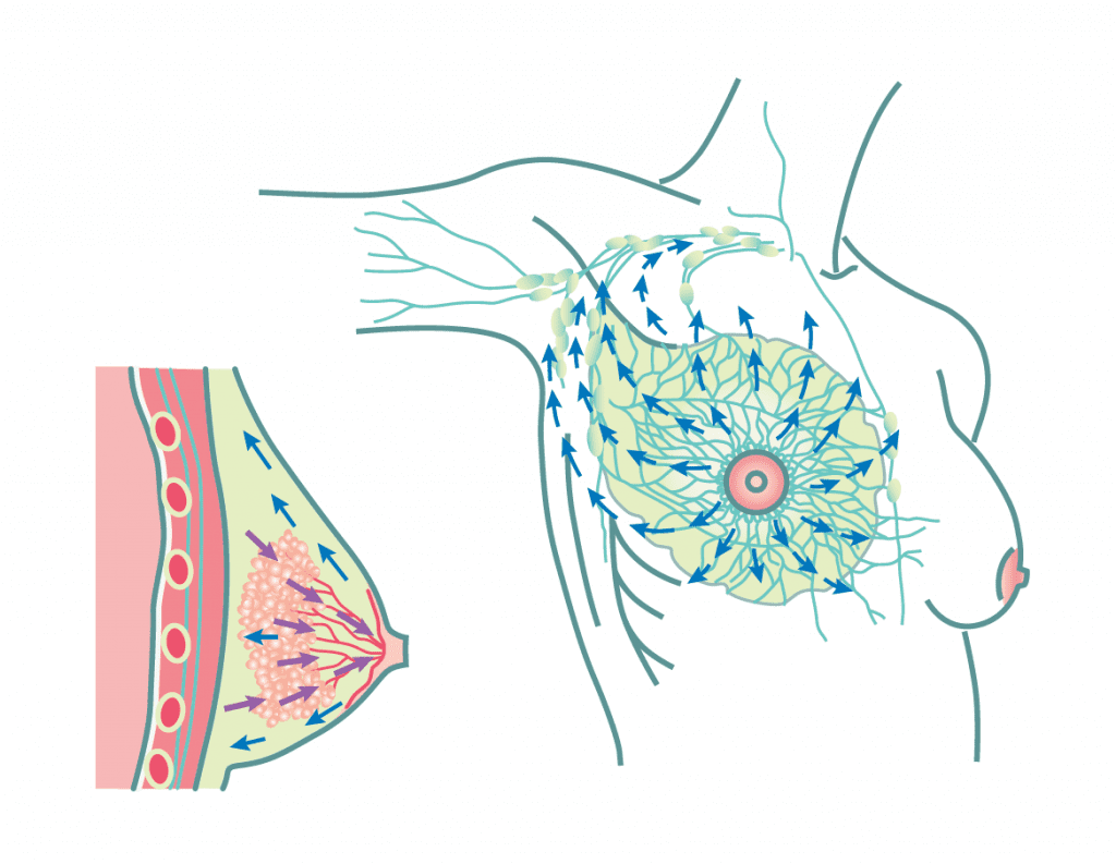 How to do a Lymphatic Breast Massage