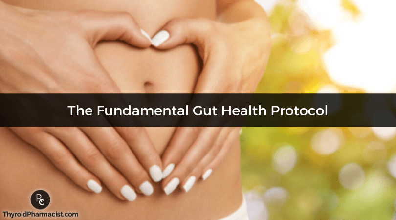 The Fundamental Gut Health Protocol