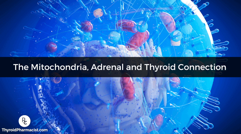 The Mitochondria, Adrenal and Thyroid Connection