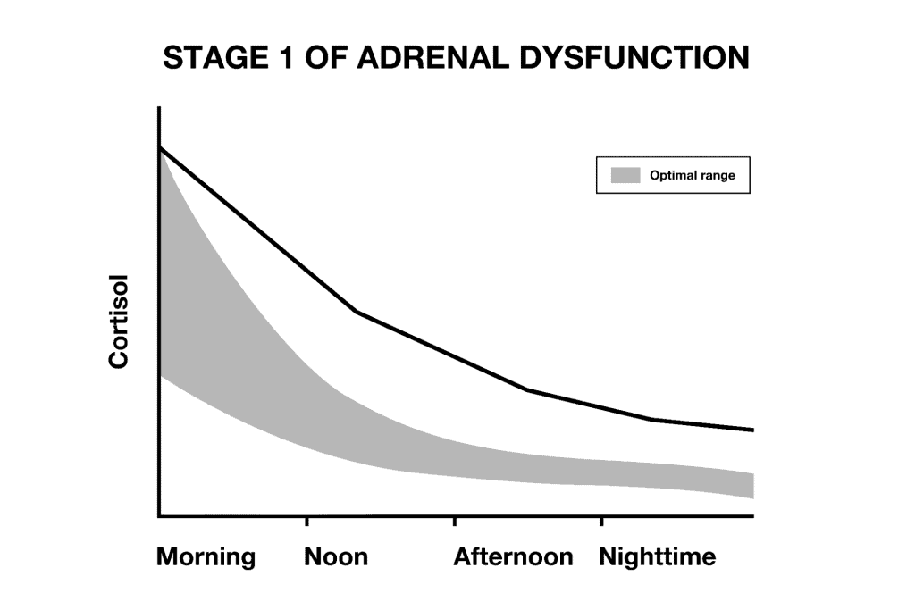 Stage 1 of Adrenal Dysfunction