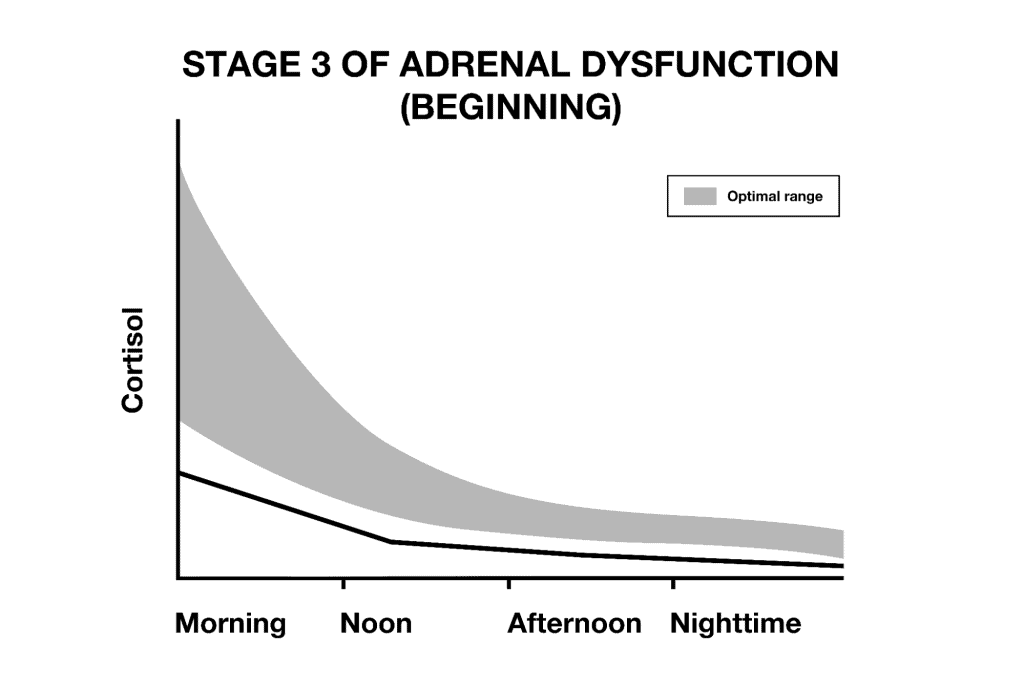 Stage 3 of Adrenal Dysfunction (Beginning)