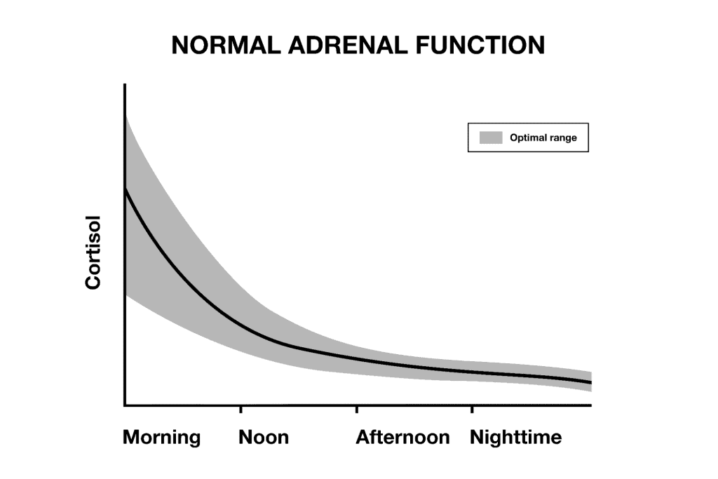Normal Adrenal Function