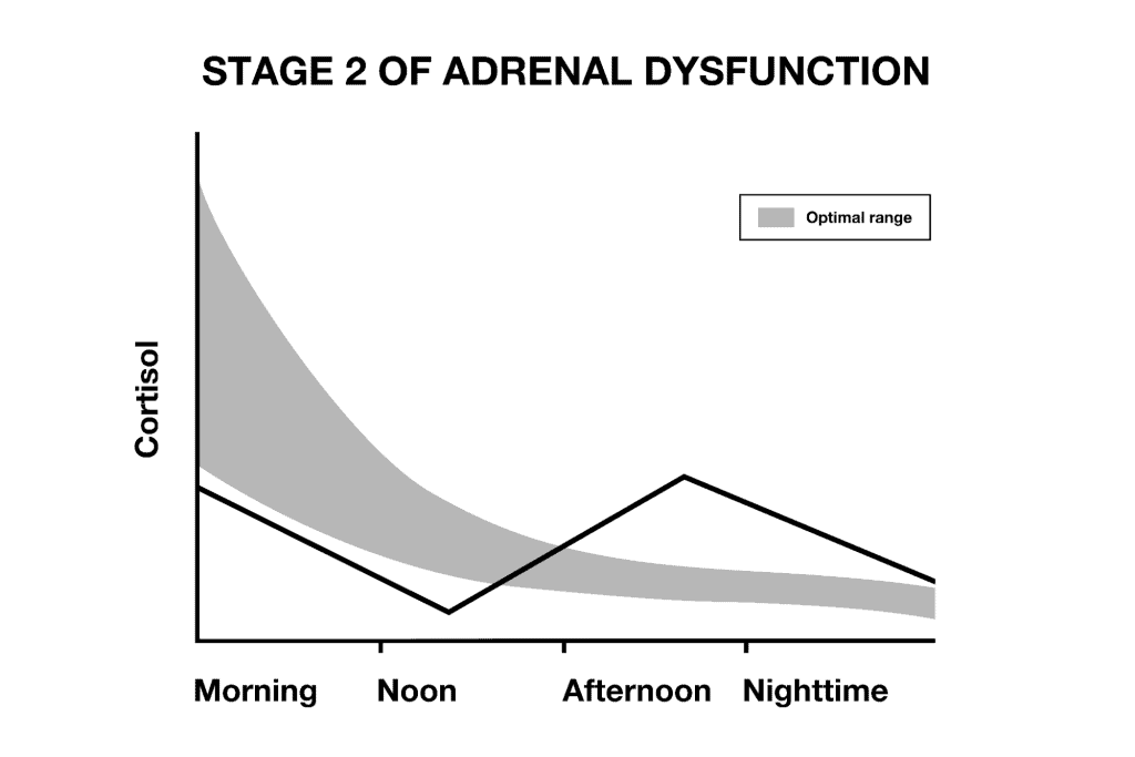 Stage 2 of Adrenal Dysfunction