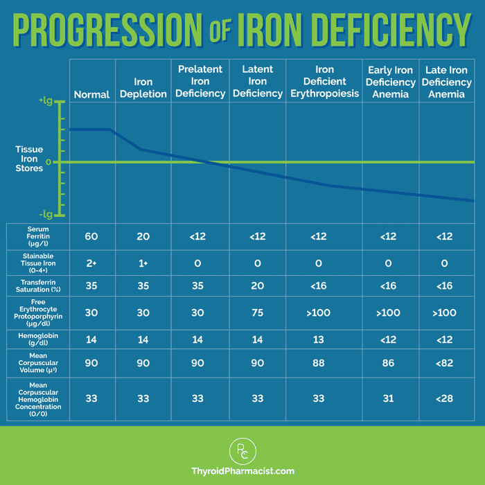 Progression of Iron Deficiency