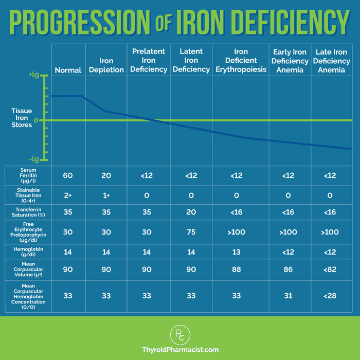 Hashimoto's 411 - If your iron is low, what is the best