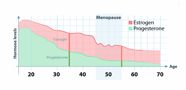 Hormone Levels