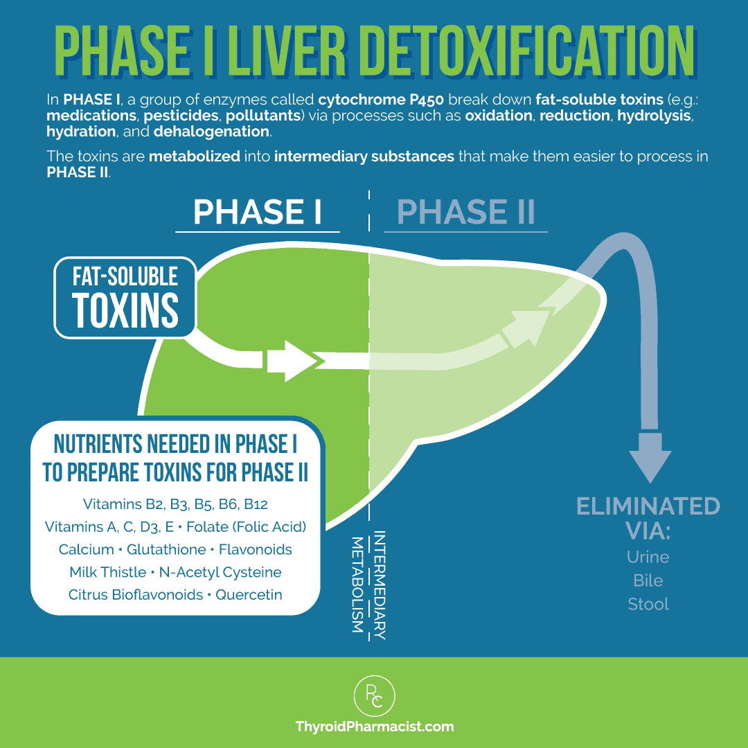 Flavonoids and liver detoxification