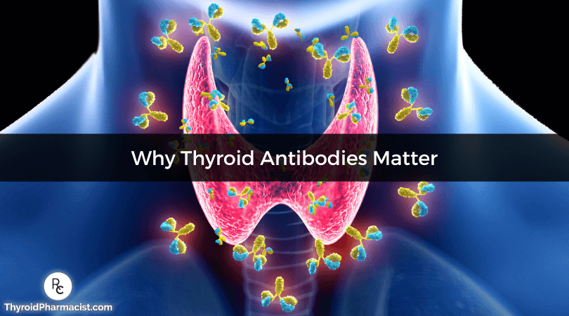 Why Thyroid Antibodies Matter