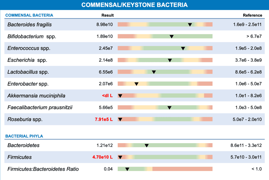 Commensal Keystone Bacteria Results - GI Map Test