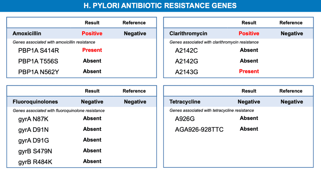 H Pylori Antibiotic Resistance Genes Results - GI Map Test