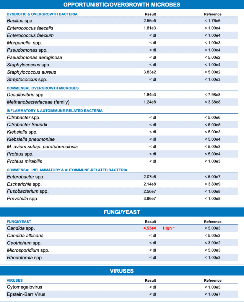 Opportunistic Overgrowth Microbes Results GI Map Test