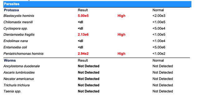 Parasites Results - GI Map Test