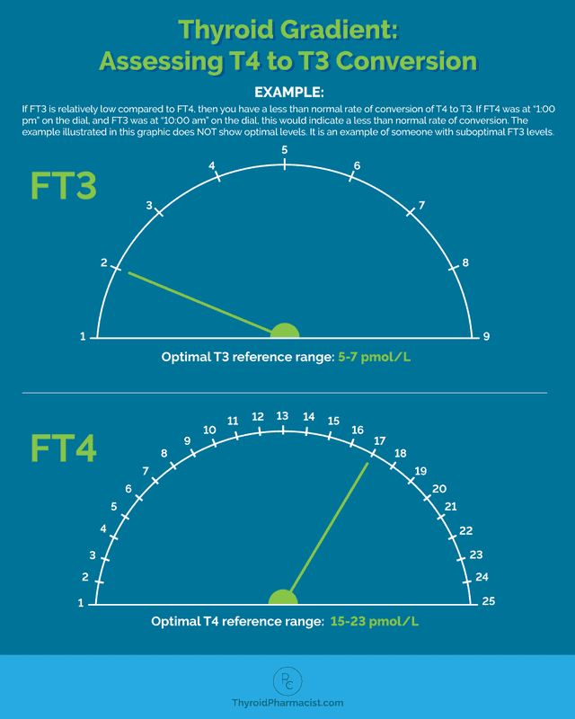 Thyroid Gradient