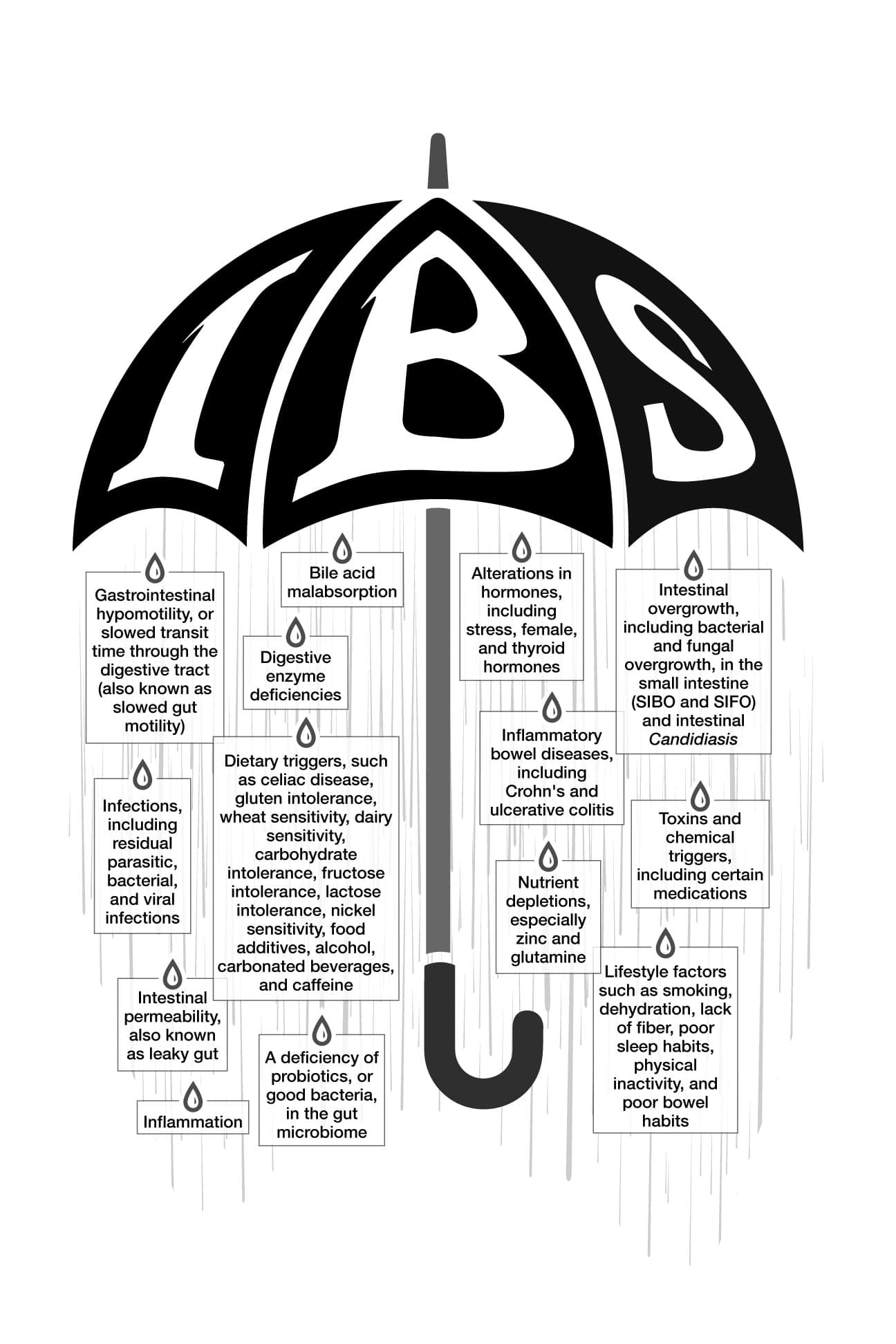 IBS Book Umbrella